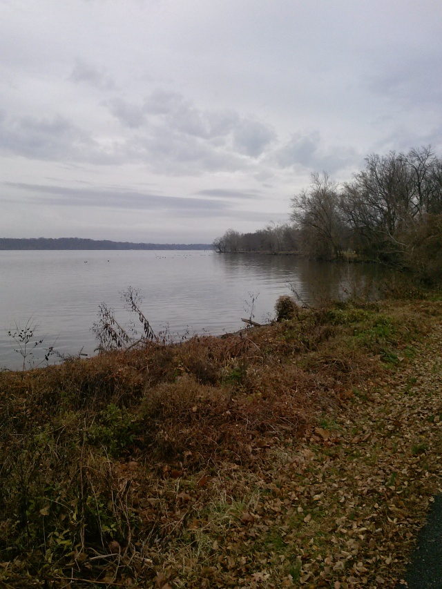 On the bank of the Potomic River.