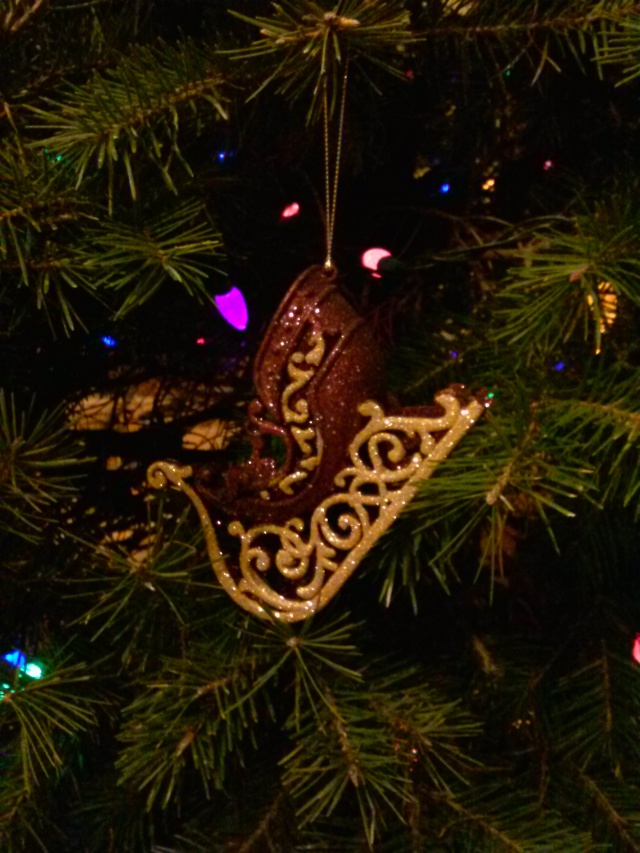 A favorite ornament from our tree this year.
